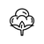 Бавовна